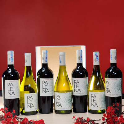 Vang Đỏ Chile PALENA CABERNET SAUVIGNON