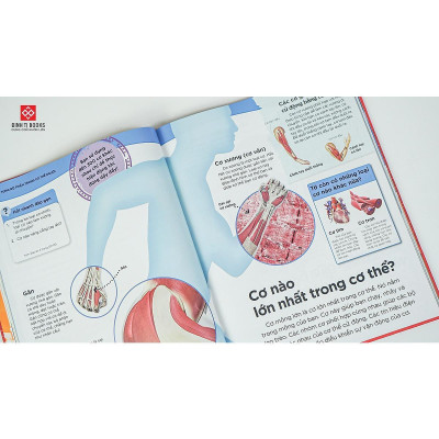 Sách - Tại Sao Máu Màu Đỏ - Với 200 Câu Hỏi Đáng Kinh Ngạc Về Cơ Thể Người - Đinh Tị Books