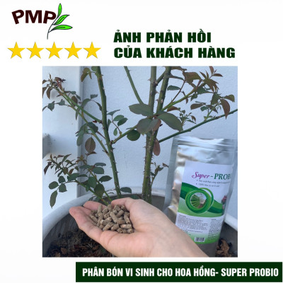 Combo Phân Hữu Cơ Cao Cấp Super Probio & Giá Thể Bã Mía Cho Hoa Hồng, Rau Sạch, Cây Cảnh