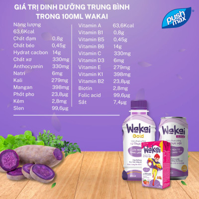 Thùng 24 Lon Sữa Chua Uống Từ Thực Vật Wakai Active (250ml x 24 lon)