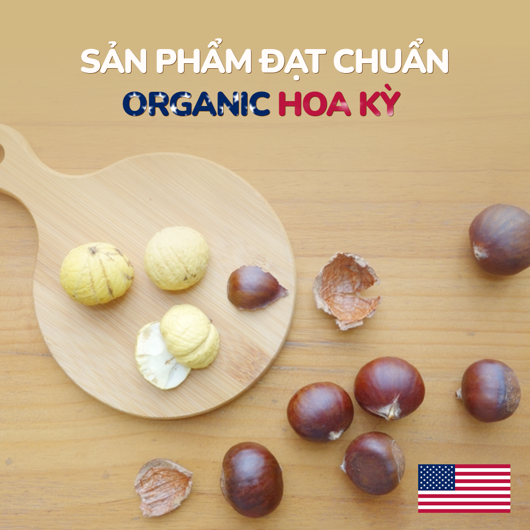 COMBO2 TÚI HẠT DẺ TÁCH VỎ ORGANIC 100GR DAN D PAK KHÔNG CHẤT BẢO QUẢN, NGUYÊN LIỆU HỮU CƠ 100%