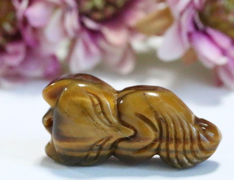 Phật Bản Mệnh Phật Bản Mệnh Hồ Ly Mắt Hổ Đuôi Dài cho tuổi