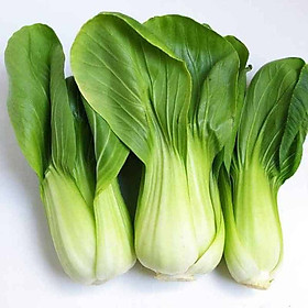 CẢI THÌA 300G VGAP XD