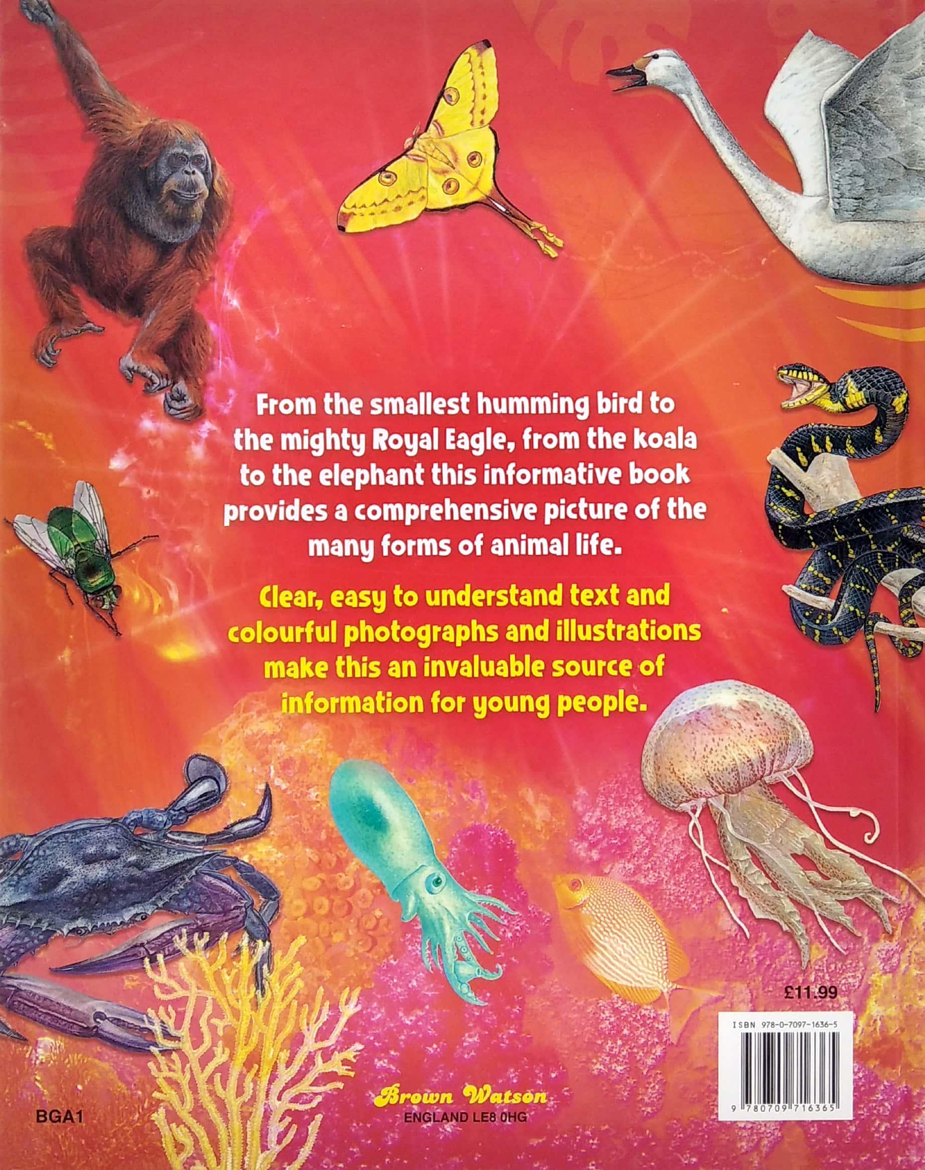 The Big book of Animals