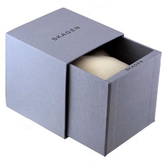 Đồng hồ nữ SKAGEN SKW2008