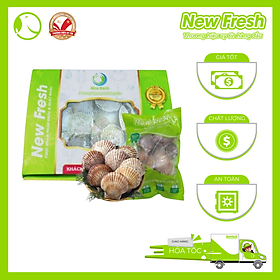 [GIAO NHANH HCM] Sò Điệp Nhật Nguyên Con Đông Lạnh - Túi 1Kg