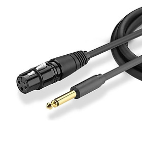 Cáp chuyển đổi Audio từ 6.5  Ugreen ra AV canon âm cho microphone, stereo, mixer, amplifier, camera environment  - Hàng Chính Hãng