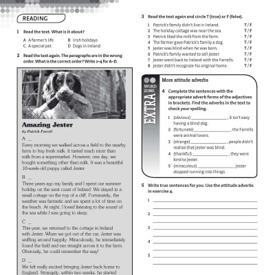 Achievers B1 Workbook