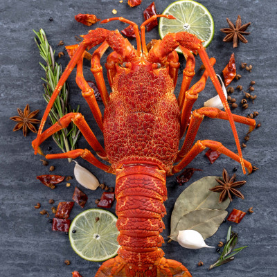 Tôm hùm đá đông lạnh Nam Úc 800gr - 1kg