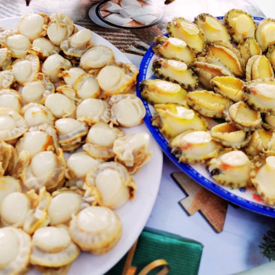 Bào ngư Úc viền xanh ( size :8-10 con)- 1kg