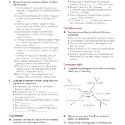 Expert IELTS 7.5 Student