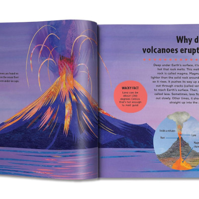 Britannica First Big Book Of Why