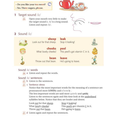 Ship or Sheep? Book and Audio CD Pack: An Intermediate Pronunciation Course