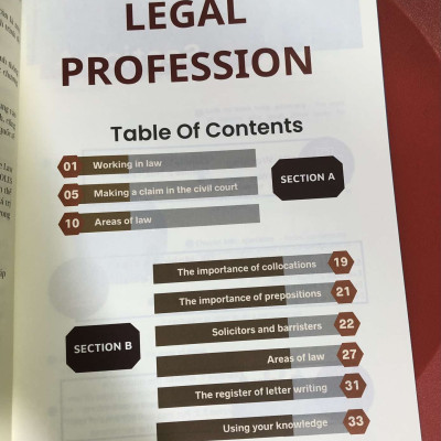 Nghề Luật/Legal Profession