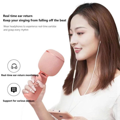 Micro Karaoke kèm loa Bluetooth - Hàng chính hãng