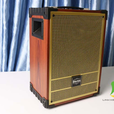 Loa kéo Hosan GD08-13 - Loa di động mini karaoke thùng gỗ tặng 2 micro nhẹ dễ hát - Hàng nhập khẩu