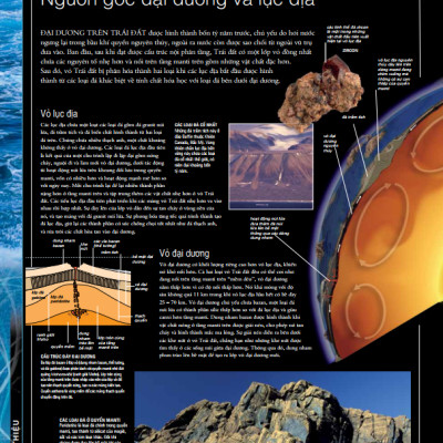 OCEAN – Thuyết Minh Trực Quan Nhất Về Đại Dương