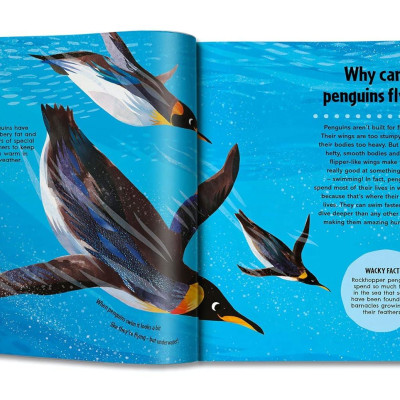 Britannica First Big Book Of Why