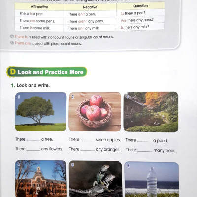 My First Grammar 3 Workbook (2nd Ed.)