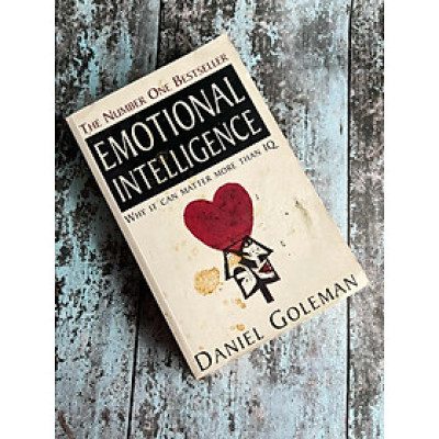 Emotional Intelligence: Why It Can Matter More Than IQ