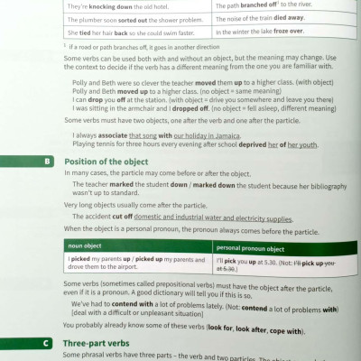 English Phrasal Verbs In Use Advanced Book With Answers (Vocabulary in Use)