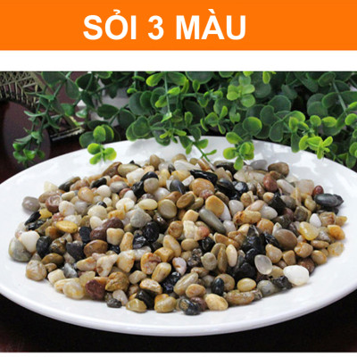 5KG Sỏi Suối 3 Màu (Size Nhỡ) | Trang Trí Bể Cá, Tiểu Cảnh, Non Bộ Đẹp, May Mắn!