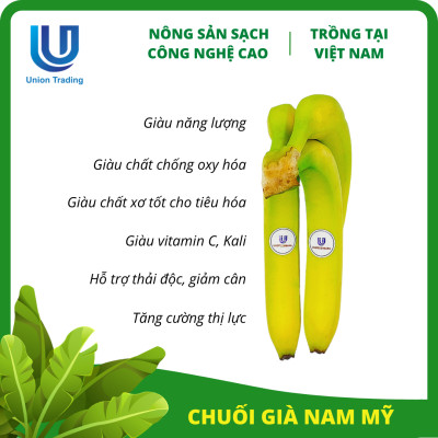 Chuối Tươi Union Trading - Nhánh 500g - Thơm Dẻo, Giàu Dinh Dưỡng - Trồng Công Nghệ Cao Tại Việt Nam