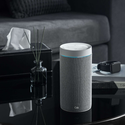 Loa thông minh OLLI MAIKA - Xám Thời Thượng - Hàng Chính Hãng