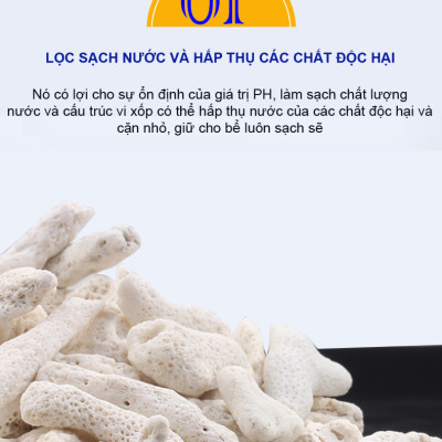 2KG San Hô Vụn vật liệu lọc hồ cá, trang trí bể cá, hồ thủy sinh cao cấp