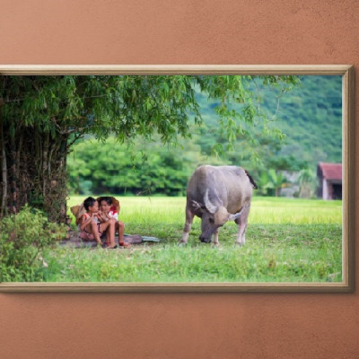 Tranh  CANVAS Treo Tường CHỦ ĐỀ QUÊ HƯƠNG, CHĂN TRÂU, Tranh canvas thiên nhiên, có khung kèm, treo phòng khách, phòng ăn,, phong cách hiện đại  PVP-PC06