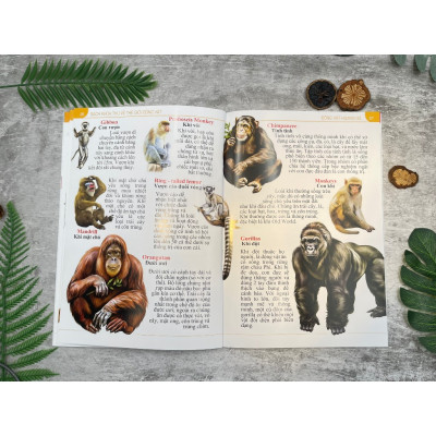 Sách - Bách khoa thư về thế giới động vật - Bìa cứng (VT-MK)