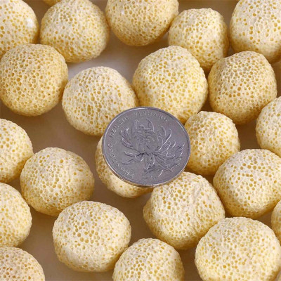 1Kg Vật liệu lọc hồ cá: bông 8D, men vi sinh hồ cá PSB 100ML cao cấp