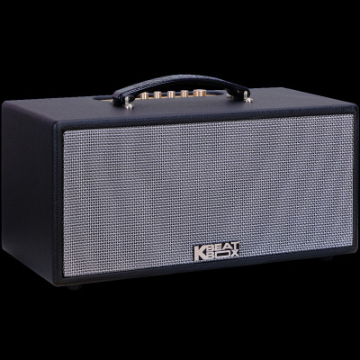 Dàn âm thanh di động xách tay mini ACNOS KS363V