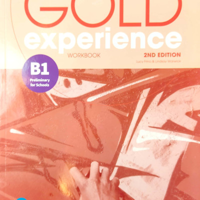 Gold Experience 2nd Edition - B1 Workbook