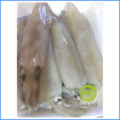 MỰC ỐNG LAO(1-10c/kg)