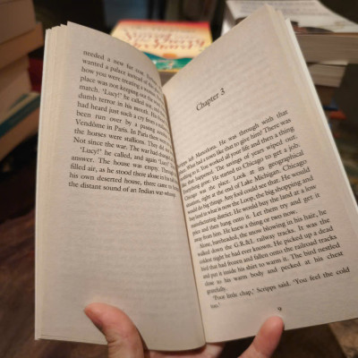 Sách - The Torrents Of Spring by Ernest Hemingway - Fiction/ Classics/ Literature in English