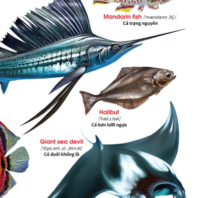 Sách - My First Book Of Animals - Động vật dưới nước (VT)