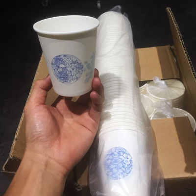 Ly giấy cao cấp sử dụng tiện lợi 50 cái 1 cây