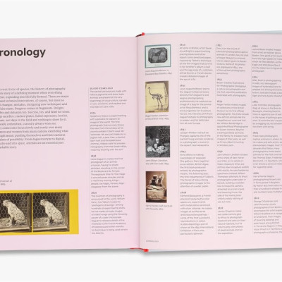 Why We Photograph Animals  