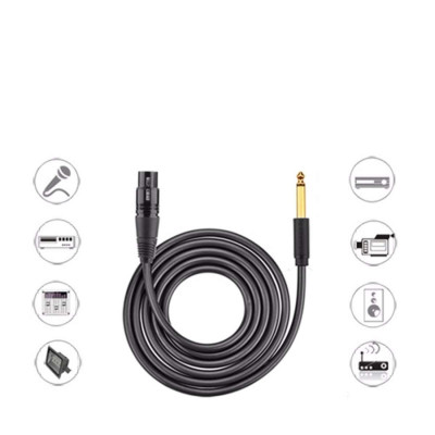 Cáp chuyển đổi Audio từ 6.5  Ugreen ra AV canon âm cho microphone, stereo, mixer, amplifier, camera environment  - Hàng Chính Hãng