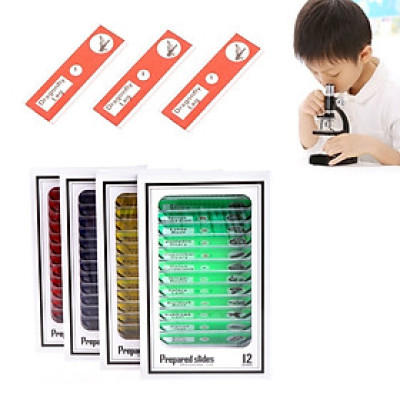 Bộ 12 Tiểu Bản Mẫu Vật Của Động Thực Vật Dùng Trên Kính Hiển Vi - Hàng Nhập Khẩu