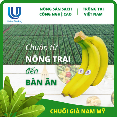 Chuối Tươi Union Trading - Nhánh 500g - Thơm Dẻo, Giàu Dinh Dưỡng - Trồng Công Nghệ Cao Tại Việt Nam