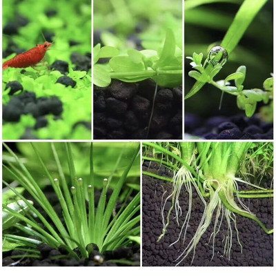 3 Túi Đất Nền Trồng Cây Thủy Sinh Bể Cá, Phân nền DIA MAX AQUA giàu dinh dưỡng ( 2KG/ túi)