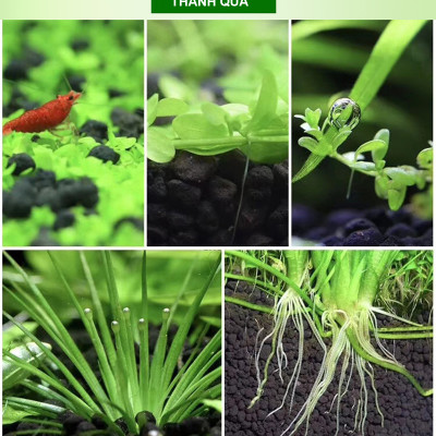 3 Túi Đất Nền Trồng Cây Thủy Sinh Bể Cá, Phân nền DIA MAX AQUA giàu dinh dưỡng ( 2KG/ túi)