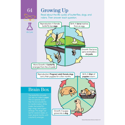 Sách summer brain quest grade 2 & 3 ( 7 - 8 tuổi )