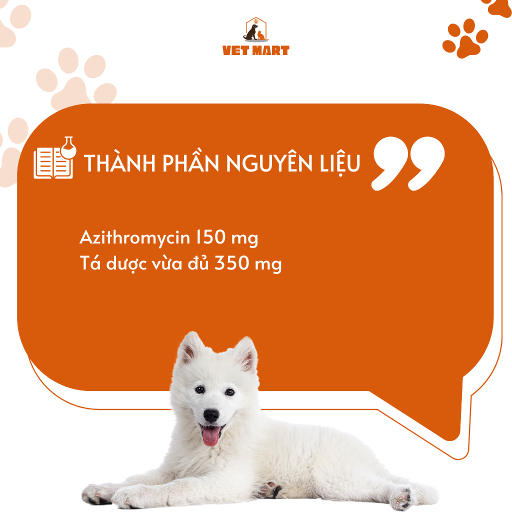 FIVE AZIMAX - Thuốc Hỗ Trợ Trị Hô Hấp, Nhiễm Trùng Da Cho Thú Cưng_Fivevet