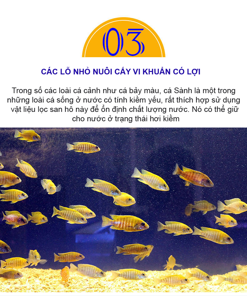 San Hô Vụn túi 1KG + 1 túi lưới đựng vật liệu lọc cho bể cá