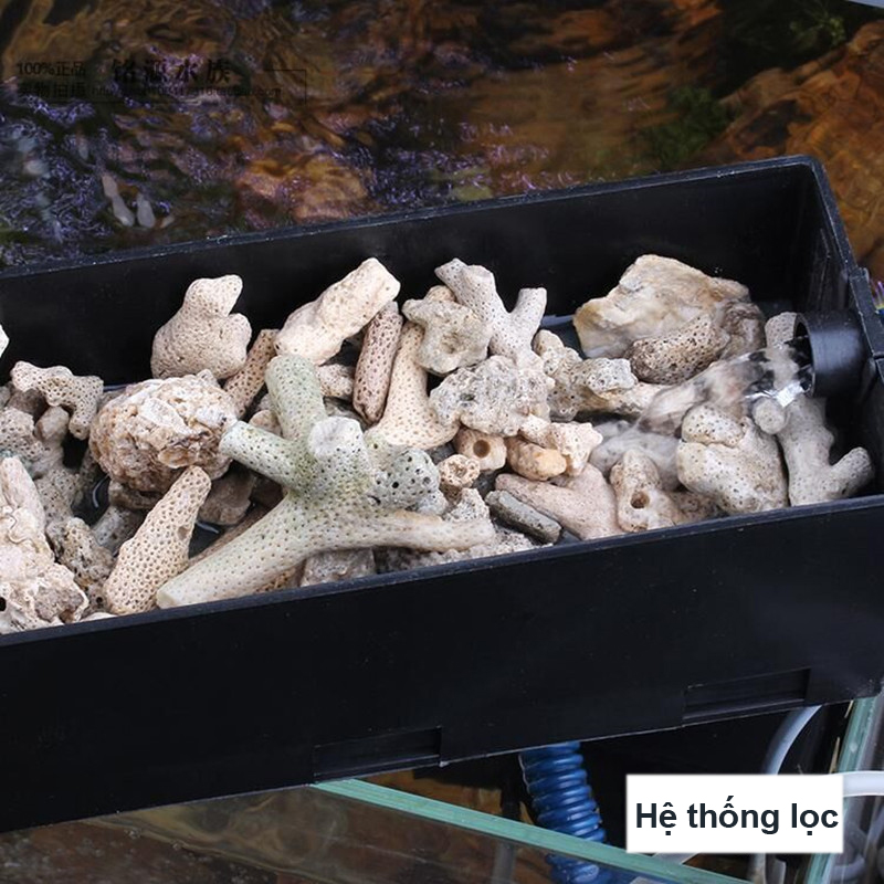 San Hô Vụn túi 1KG + 1 túi lưới đựng vật liệu lọc cho bể cá