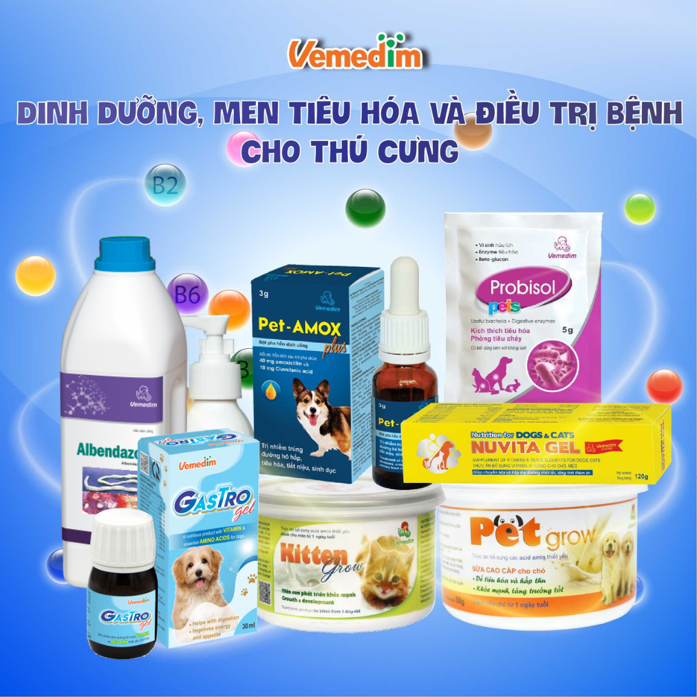 Vemedim Respicure Paste dùng cho chó, mèo bị hô hấp, tiêu hóa, ống dạng gel 10ml