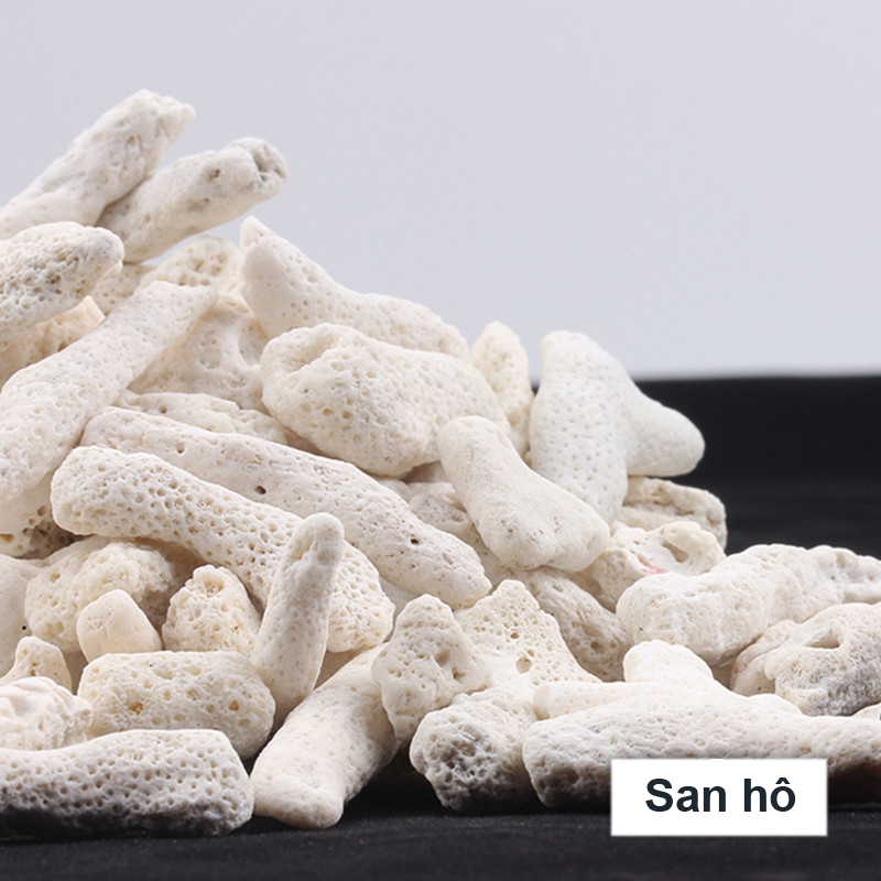 San Hô Vụn túi 1KG + 1 túi lưới đựng vật liệu lọc cho bể cá